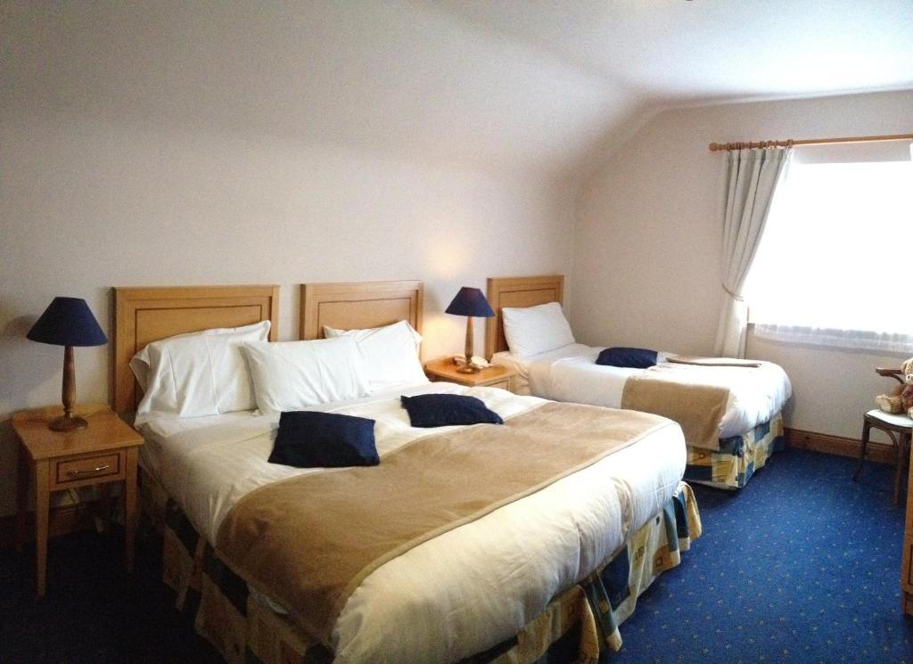 Virginia'S Guesthouse Kenmare Rum bild